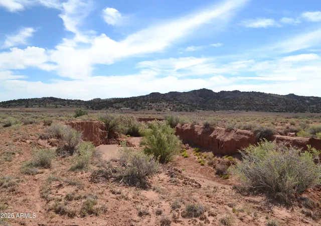Homes for sale in Concho, AZ | Lots 18,19 N8577 #18, Concho, AZ 85924 | MLS# 7050827