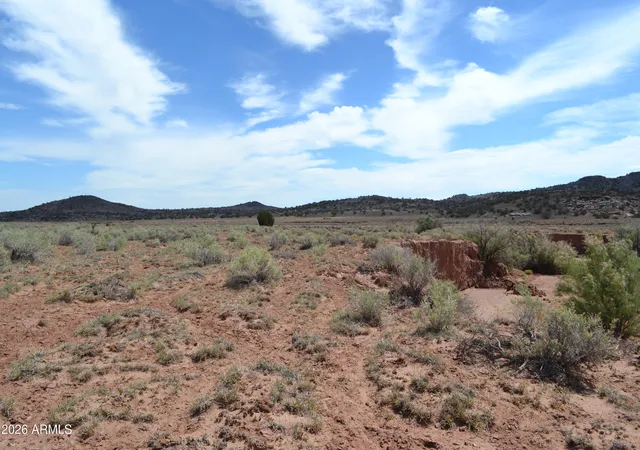 Homes for sale in Concho, AZ | Lots 18,19 N8577 -- #18, Concho, AZ 85924 | MLS# 7050827