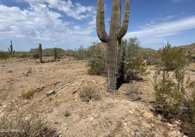 14th image of 2440 N 113th St #--, Mesa, AZ 85207 | MLS# 7048559