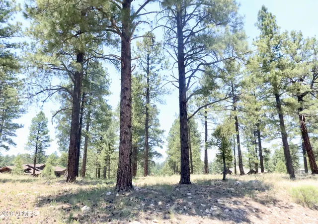 Photo 2 of Land for sale at 3235 S Tehama Cir #105-10-066, Flagstaff, AZ 86005 | MLS# 7048603 | Listing updated on 2026-07-02