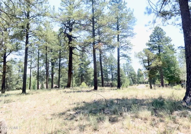Photo 3 of Land for sale at 3235 S Tehama Cir #105-10-066, Flagstaff, AZ 86005 | MLS# 7048603 | Listing updated on 2026-07-02