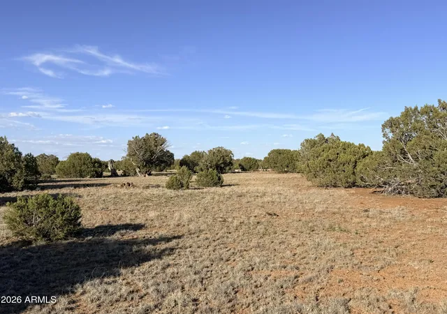 16th image of 9070 Pinto Trl, Show Low, AZ 85901 | MLS# 7048236