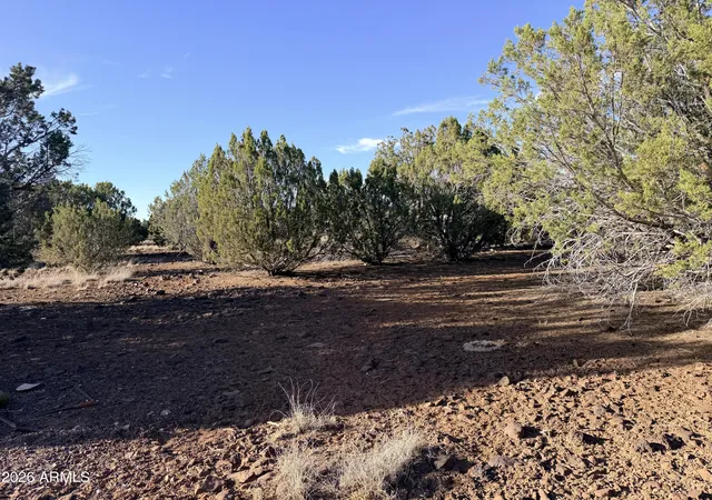 1st image of 9070 Pinto Trl, Show Low, AZ 85901 | MLS# 7048236