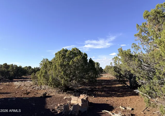 3rd image of 9070 Pinto Trl, Show Low, AZ 85901 | MLS# 7048236