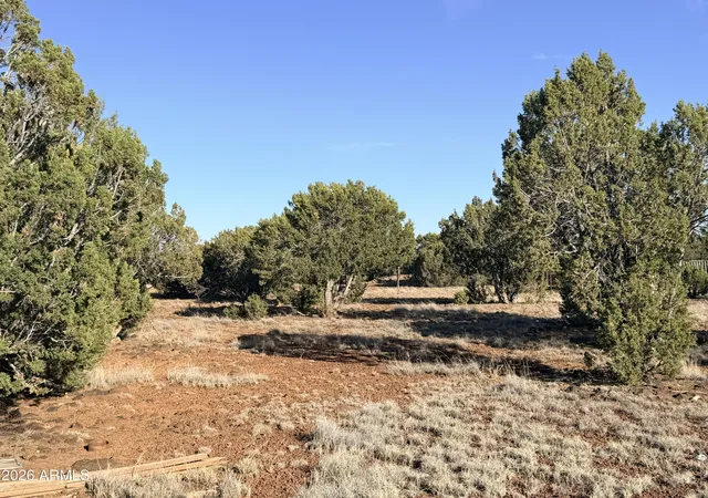 4th image of 9070 Pinto Trl, Show Low, AZ 85901 | MLS# 7048236