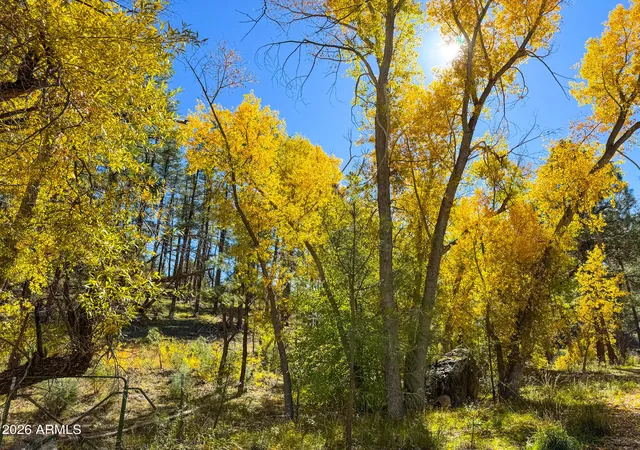 39th image of 0 Forest Service Road, Prescott, AZ 86303 | MLS# 7048226