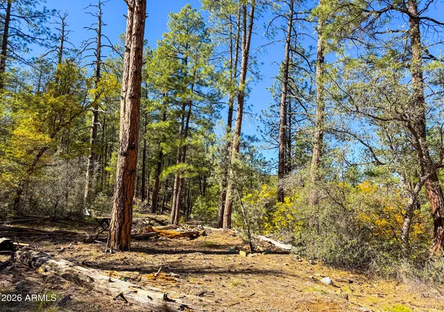 3rd image of 0 Forest Service Road --, Prescott, AZ 86303 | MLS# 7048226