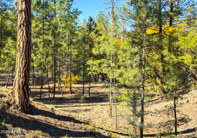 5th image of 0 Forest Service Road --, Prescott, AZ 86303 | MLS# 7048226