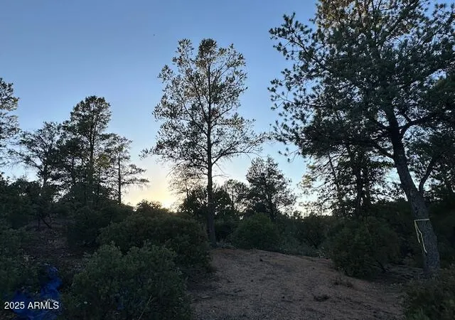 Photo 4 of Land for sale at 1806 E Cliff Rose Dr #839, Payson, AZ 85541 | MLS# 7048235 | Listing updated on 2026-10-05