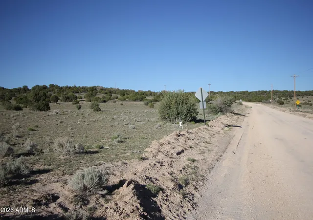 Homes for sale in Concho, AZ | 8500 Tbd County Road 8500 Road #43, Concho, AZ 85924 | MLS# 7048381