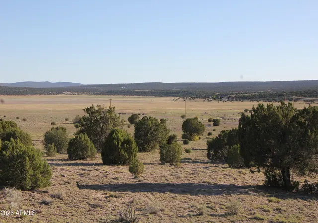 Homes for sale in Concho, AZ | 8500 Tbd County Road 8500 Road #43, Concho, AZ 85924 | MLS# 7048381