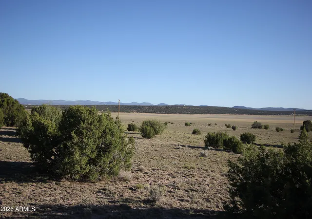 Homes for sale in Concho, AZ | 8500 Tbd County Road 8500 Road #43, Concho, AZ 85924 | MLS# 7048381