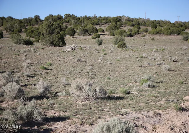Homes for sale in Concho, AZ | 8500 Tbd County Road 8500 Road #43, Concho, AZ 85924 | MLS# 7048381
