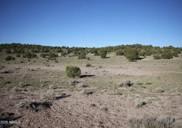 Homes for sale in Concho, AZ | 8500 Tbd County Road 8500 Road #43, Concho, AZ 85924 | MLS# 7048381