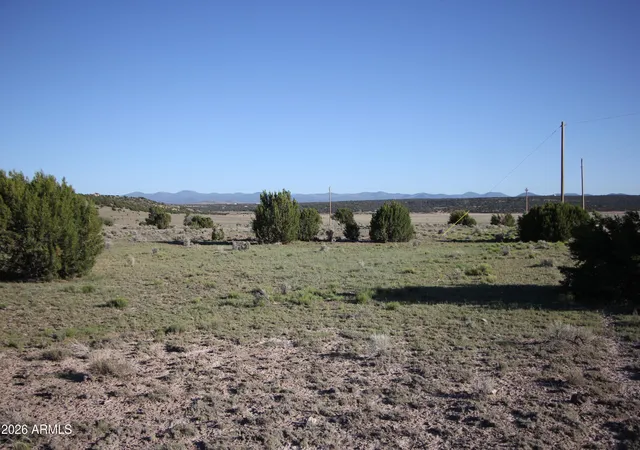 Homes for sale in Concho, AZ | 8500 Tbd County Road 8500 Road #43, Concho, AZ 85924 | MLS# 7048381
