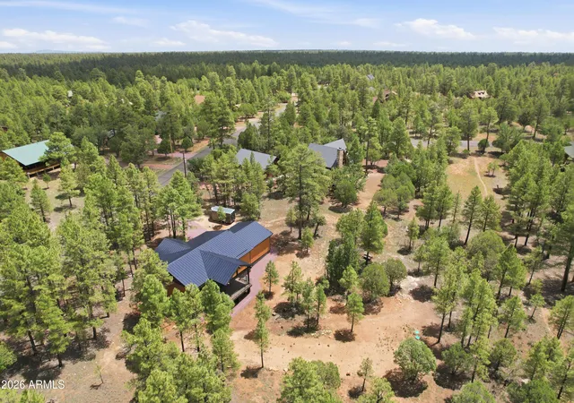 Photo 4 of Single family home for sale at 3847 Apache Dr, Happy Jack, AZ 86024 | MLS# 7049554 | Listing updated on 2026-09-06