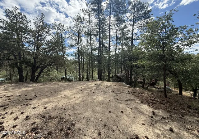 1st image of 23441 S Van Ln #49, Crown King, AZ 86343 | MLS# 7049186