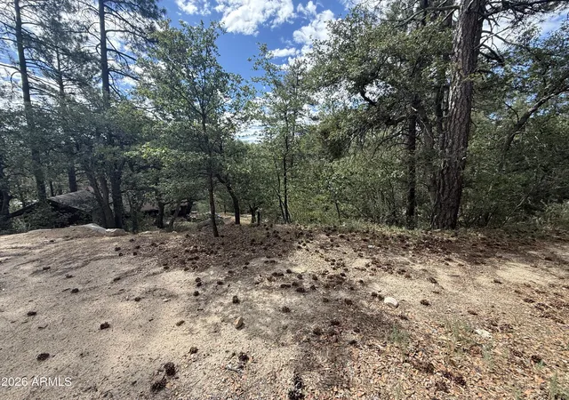 3rd image of 23441 S Van Ln #49, Crown King, AZ 86343 | MLS# 7049186