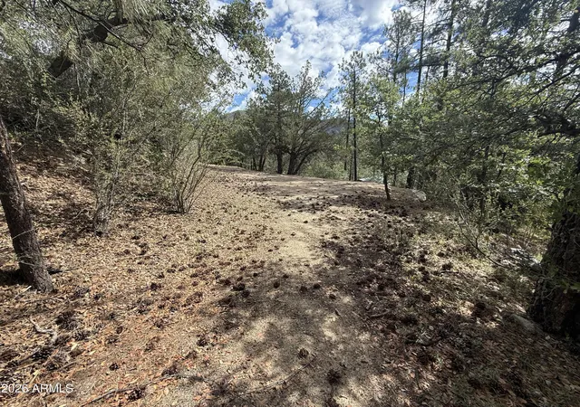 6th image of 23441 S Van Ln #49, Crown King, AZ 86343 | MLS# 7049186