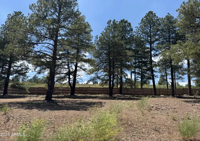 Photo 3 of Single family home for sale at 2118 Shaded Spring Trl, Flagstaff, AZ 86005 | MLS# 7048923 | Listing updated on 2026-09-13
