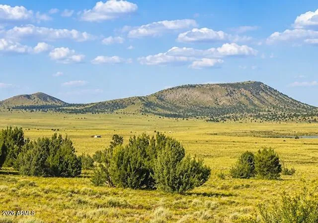 Homes for sale in Concho, AZ | Tbd 107 35 439/440 Concho Lakeland #30-31, Concho, AZ 85924 | MLS# 7049590