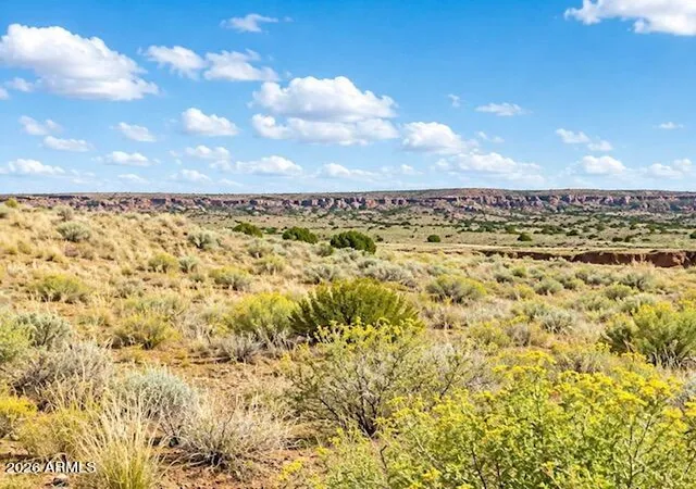 Homes for sale in Concho, AZ | Tbd 107 35 439/440 Concho Lakeland #30-31, Concho, AZ 85924 | MLS# 7049590