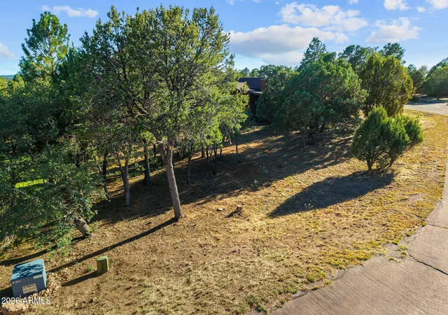 Homes for sale in Overgaard, AZ | 2207 Four Point Cir, Overgaard, AZ 85933 | MLS# 7049183