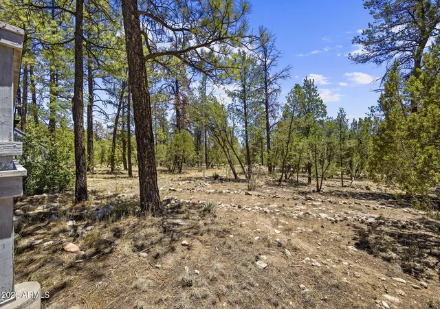 Homes for sale in Overgaard, AZ | 2142 Rimview Trl, Overgaard, AZ 85933 | MLS# 7049866