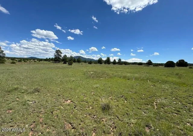 4th image of 5303 N Red Mountain Rd #'-', Williams, AZ 86046 | MLS# 7049471