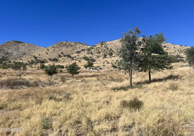 Photo 3 of Land for sale at 00 Muffin Ln, Hereford, AZ 85615 | MLS# 7049831 | Listing updated on 2026-10-01