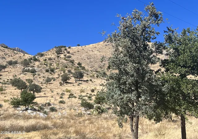 Photo 3 of Land for sale at 00 Muffin Ln, Hereford, AZ 85615 | MLS# 7049831 | Listing updated on 2026-10-01
