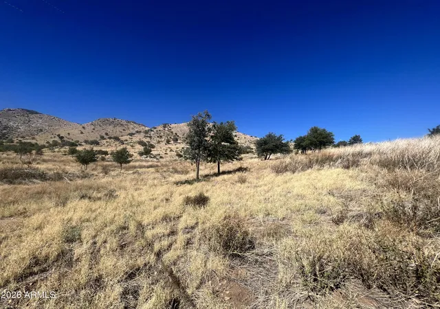 Photo 4 of Land for sale at 00 Muffin Ln, Hereford, AZ 85615 | MLS# 7049831 | Listing updated on 2026-10-01