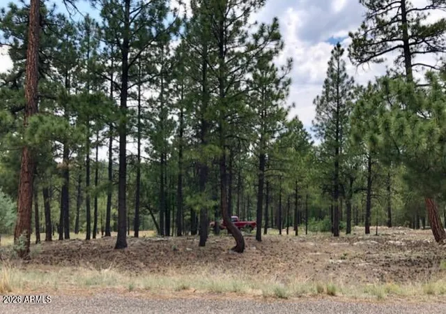Homes for sale in Happy Jack, AZ | 2526 Well Water Rd #322, Happy Jack, AZ 86024 | MLS# 7049339