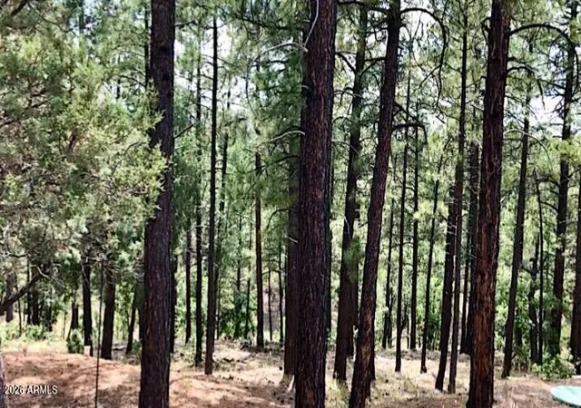 3rd image of 2526 Well Water Rd #322, Happy Jack, AZ 86024 | MLS# 7049339