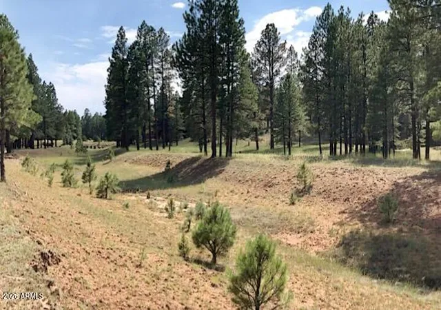 4th image of 2526 Well Water Rd #322, Happy Jack, AZ 86024 | MLS# 7049339