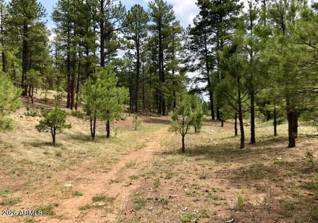 5th image of 2526 Well Water Rd #322, Happy Jack, AZ 86024 | MLS# 7049339
