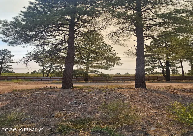 Homes for sale in Flagstaff, AZ | 2130 Shaded Spring Trl, Flagstaff, AZ 86005 | MLS# 7049453
