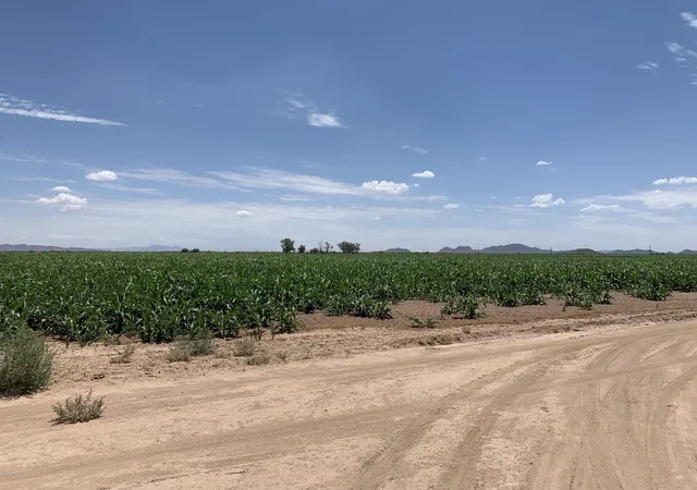 4th image of 0 W Arica 2 Rd, Casa Grande, AZ 85193 | MLS# 7050887