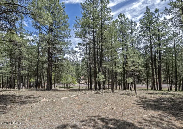 Homes for sale in Happy Jack, AZ | 2132 W Pine Valley Rd, Happy Jack, AZ 86024 | MLS# 7050217