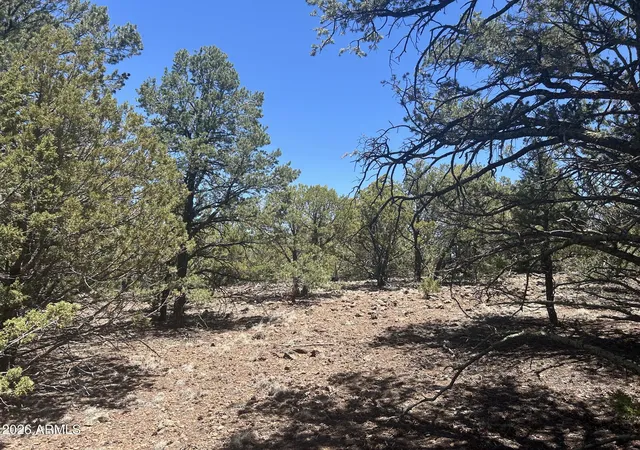1st image of Tbd Lot 37k #037K, Vernon, AZ 85940 | MLS# 7050653