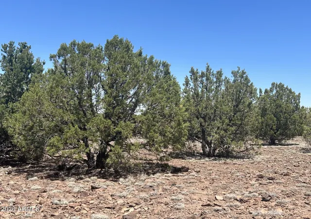 21st image of Tbd Lot 37k #037K, Vernon, AZ 85940 | MLS# 7050653