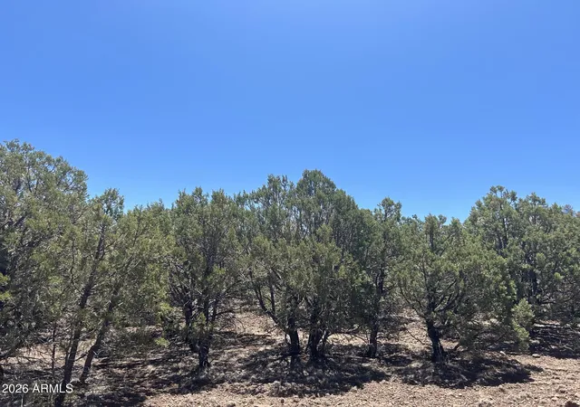 2nd image of Tbd Lot 37k #037K, Vernon, AZ 85940 | MLS# 7050653