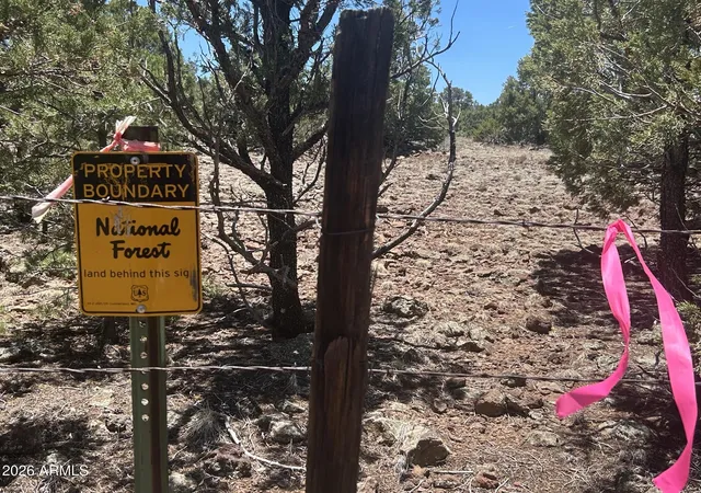 3rd image of Tbd Lot 37K -- #037K, Vernon, AZ 85940 | MLS# 7050653