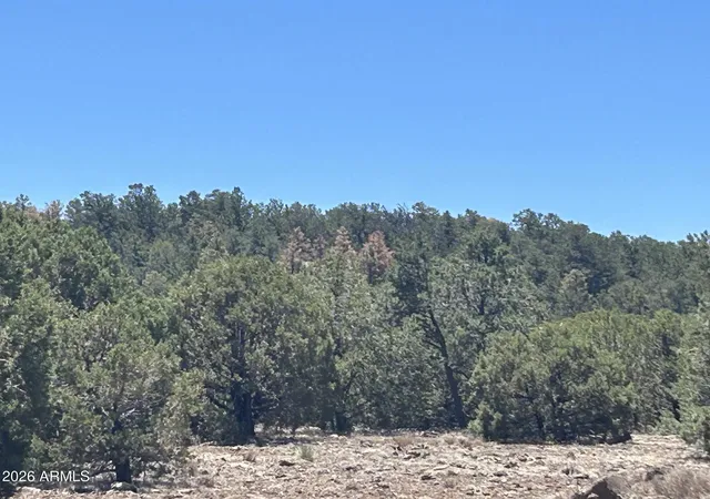 4th image of Tbd Lot 37K -- #037K, Vernon, AZ 85940 | MLS# 7050653