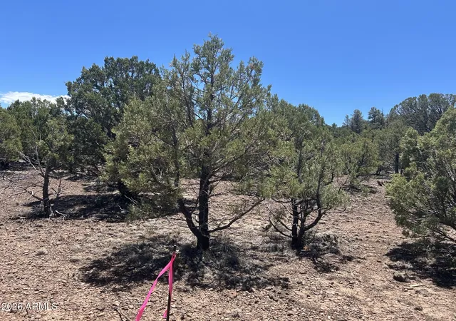 5th image of Tbd Lot 37K -- #037K, Vernon, AZ 85940 | MLS# 7050653