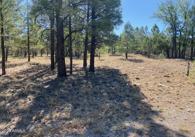 Homes for sale in Happy Jack, AZ | 4214 Juniper Dr #46, Happy Jack, AZ 86024 | MLS# 7051036