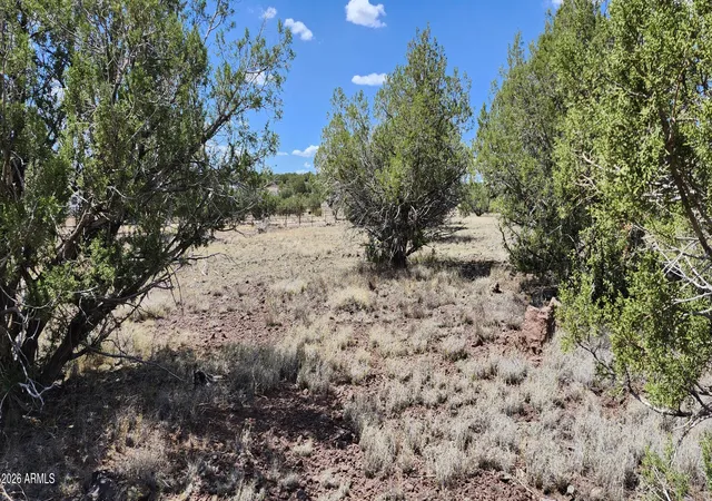 Photo 4 of Land for sale at 467 W Edgewood Dr, Williams, AZ 86046 | MLS# 7051460 | Listing updated on 2026-07-10