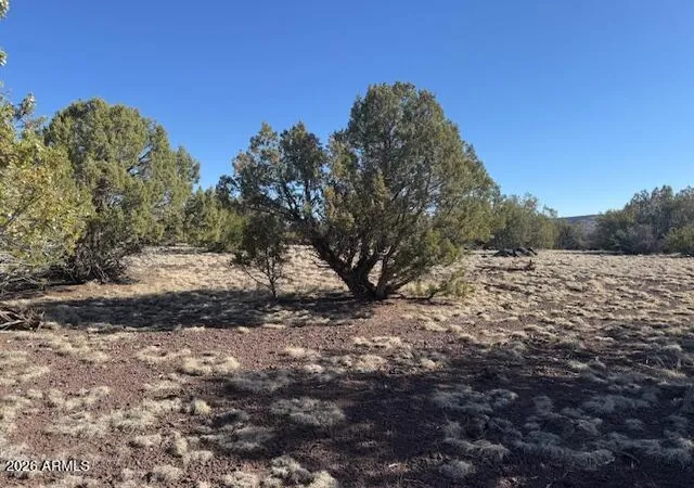 Photo 3 of Land for sale at 385 W Edgewood Dr, Williams, AZ 86046 | MLS# 7051463 | Listing updated on 2026-07-09