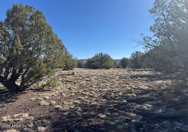 Photo 3 of Land for sale at 385 W Edgewood Dr, Williams, AZ 86046 | MLS# 7051463 | Listing updated on 2026-07-09