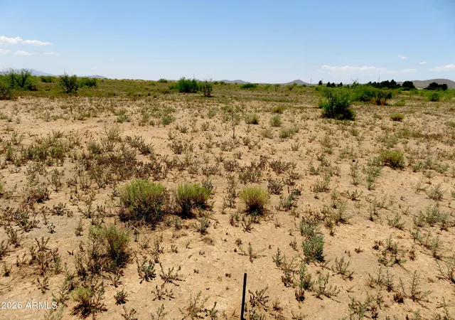 Homes for sale in Willcox, AZ | 0 E Parker Ranch Rd, Willcox, AZ 85643 | MLS# 7051555